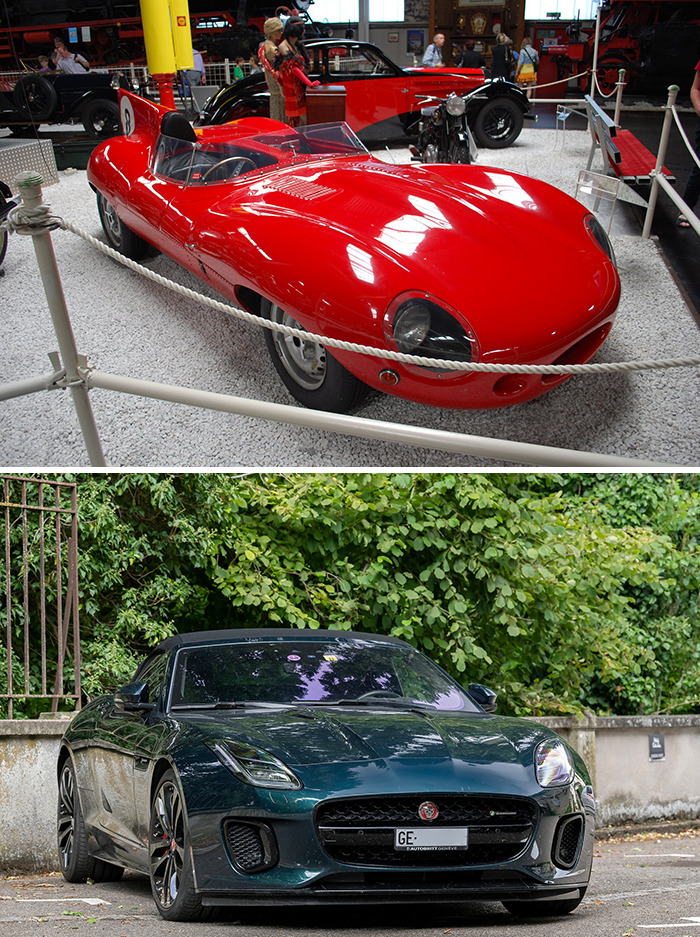 Jaguar D-Type (1955) vs. Jaguar F-Type R-Dynamic (2021)