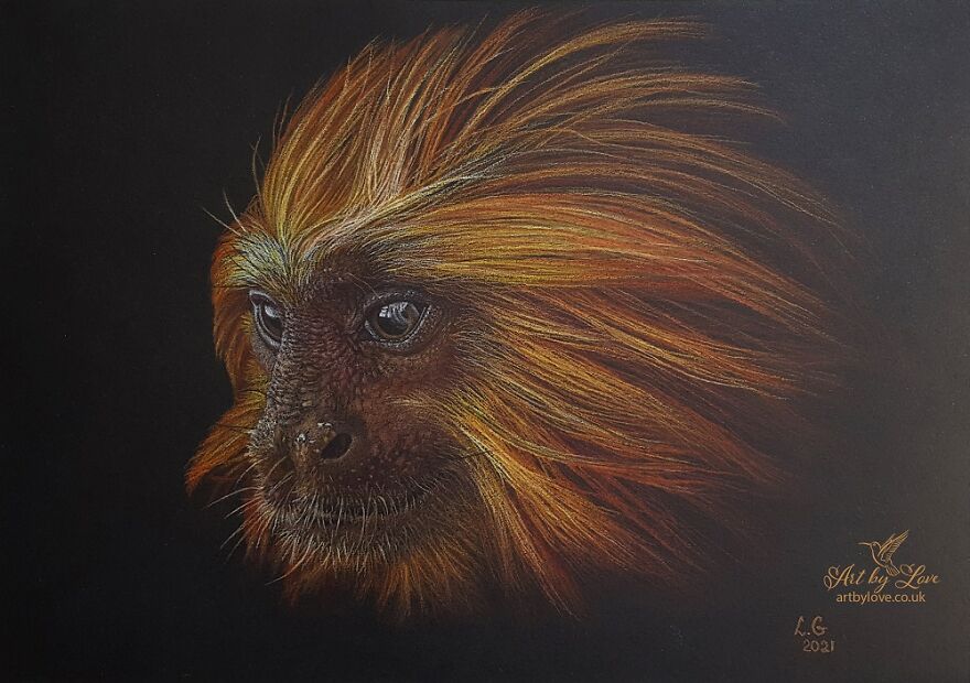 My Annual Drawings Against The Extinction Of Endangered Animals