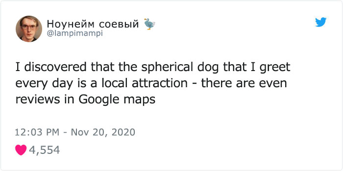 This Dog Is A Local Landmark In Tbilisi, Georgia With A Personal Google Maps Mark And Positive Reviews This Dog Is A Local Landmark In Tbilisi, Georgia With A Personal Google Maps Mark And Positive Reviews