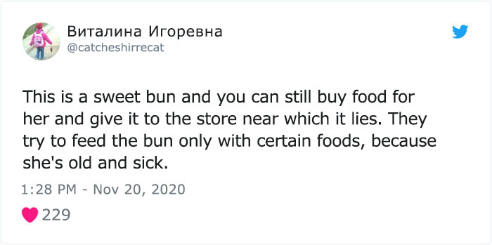 This Dog Is A Local Landmark In Tbilisi, Georgia With A Personal Google Maps Mark And Positive Reviews This Dog Is A Local Landmark In Tbilisi, Georgia With A Personal Google Maps Mark And Positive Reviews