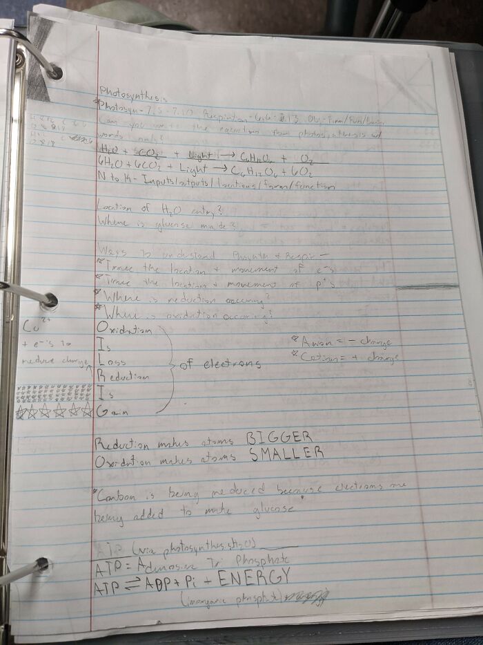 Biology Notes I Took The Other Day