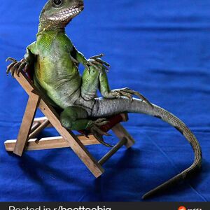 justinlambert avatar