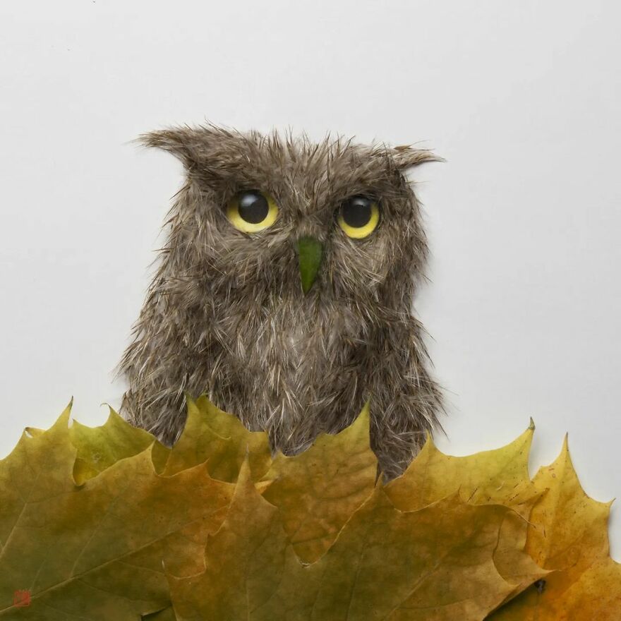 Flowers Mix With A Skillful Photographer's Eye To Make Breathtaking Sculptures Flowers Mix With A Skillful Photographer's Eye To Make Breathtaking Sculptures