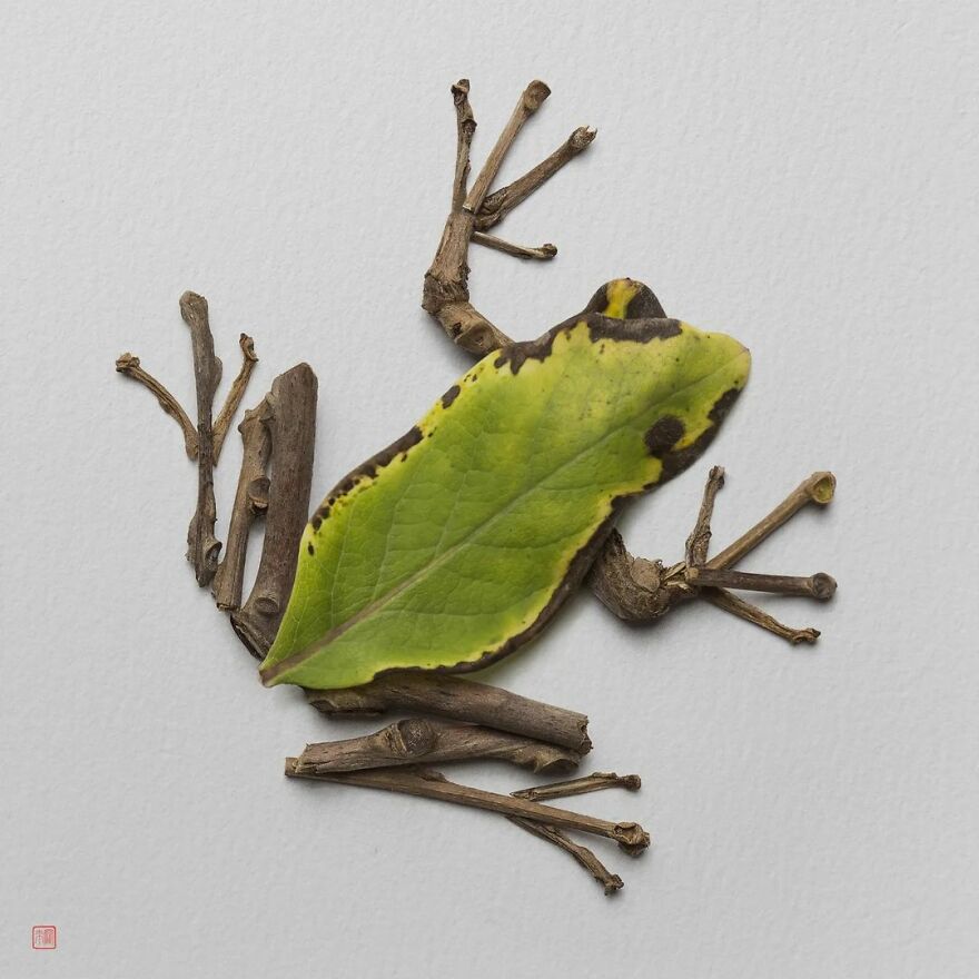 Flowers Mix With A Skillful Photographer's Eye To Make Breathtaking Sculptures