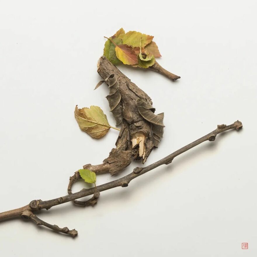 Flowers Mix With A Skillful Photographer's Eye To Make Breathtaking Sculptures Flowers Mix With A Skillful Photographer's Eye To Make Breathtaking Sculptures