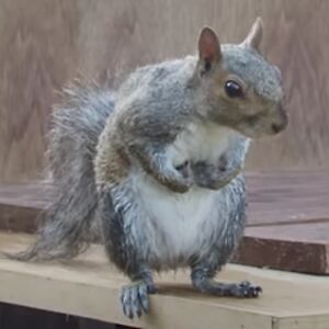 ashermathisss avatar