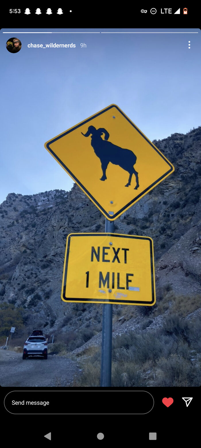 Photo My Friend Took (Screen Shot Of His Story)