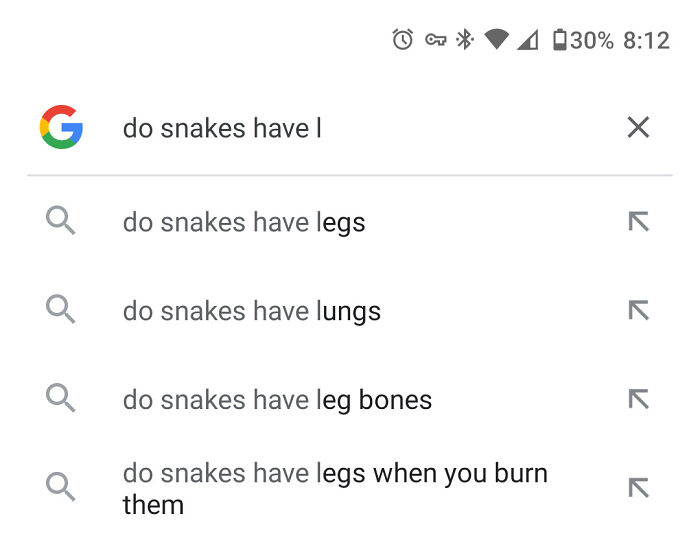 Do Snakes Have Legs When You Burn Them?