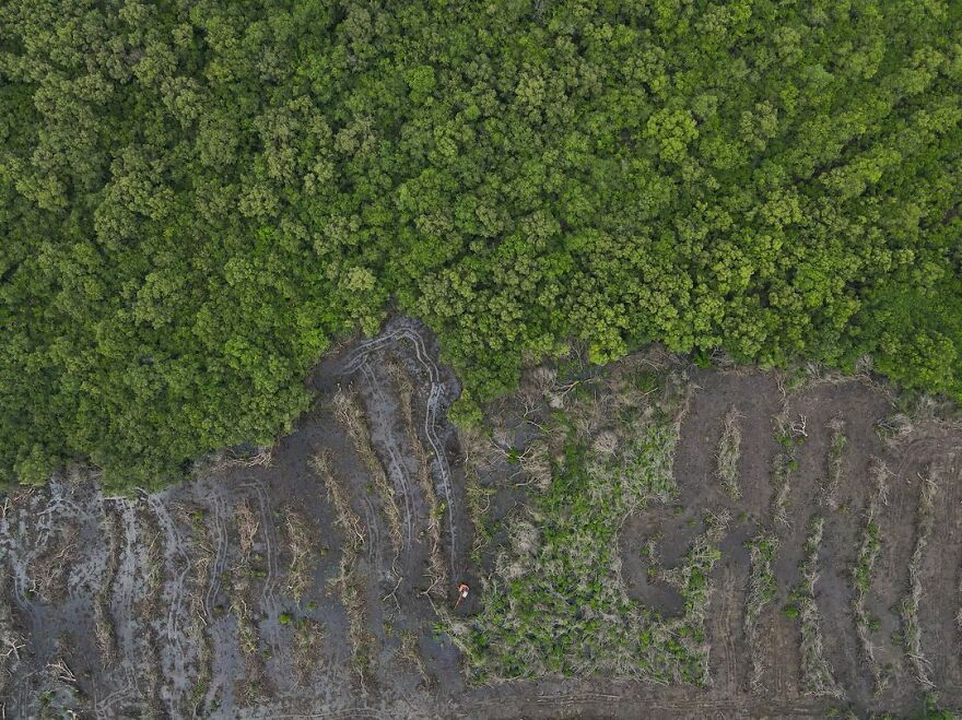 Winner Of Young Mangrove Photographer Of The Year: Destruction Of Mangroves - Katta Devi Sri Kalyan, India