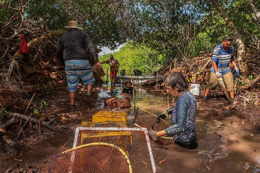 Winner Of Mangroves And Stories: Mangrove Restoration Project In Bonaire - Lorenzo Mittiga, Netherlands Antilles