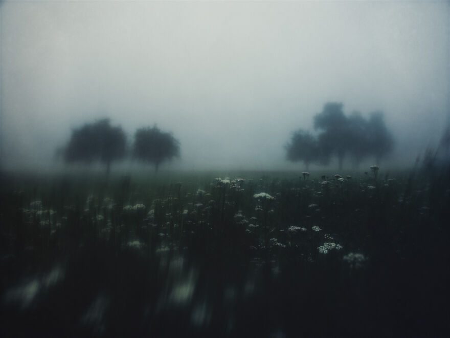 Discover The 10 Images That Won The Independent Photographer’s Open Call Photography Contest, Selected By Molly Roberts Discover The 10 Images That Won The Independent Photographer’s Open Call Photography Contest, Selected By Molly Roberts