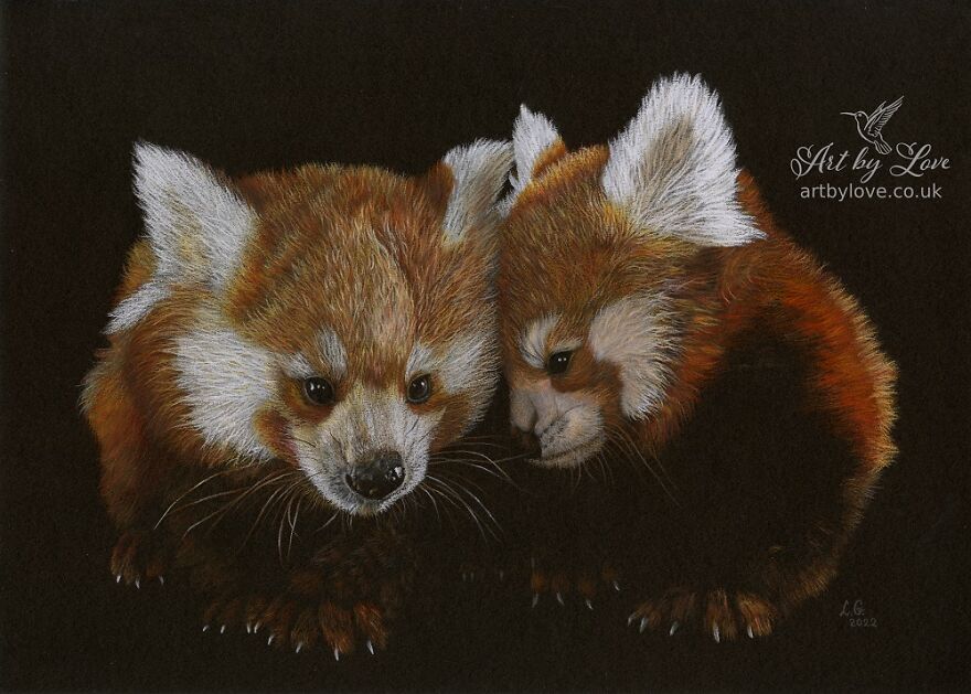 My Annual Drawings Against The Extinction Of Endangered Animals
