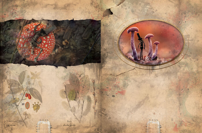 Zdenko Bašić: The Witchfinder Of The Witching Hour (12 Pics)