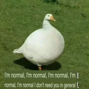 amanda_grace_piercy avatar