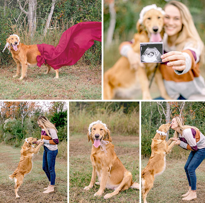 Maternity Shoot For My Pregnant Foster Dog