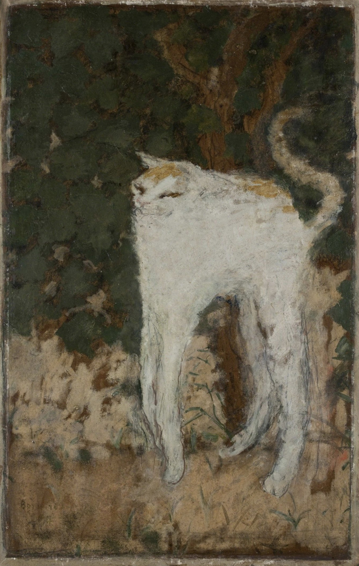 Le Chat Blanc (1894) By Pierre Bonnard