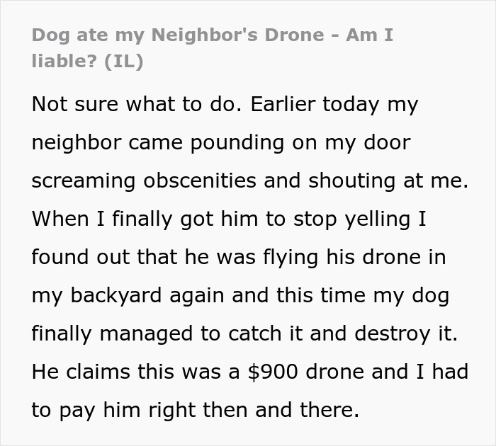 Noise Sues Neighbor After His Dog Destroys His Expensive Drone, Shamed In Court