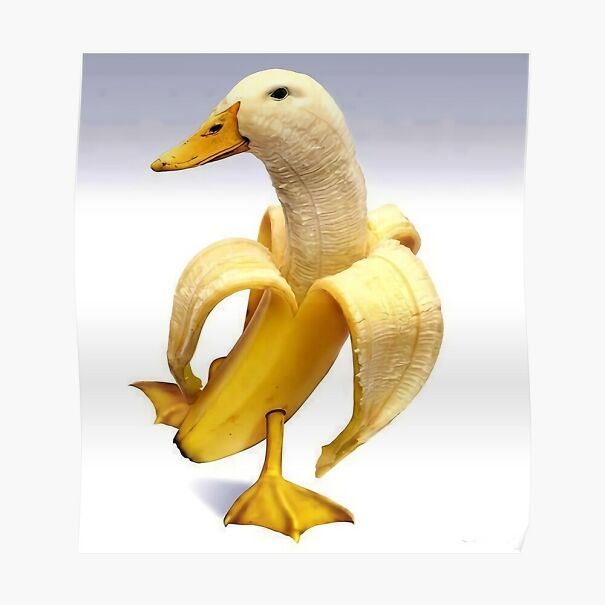 banana-duck-636c106d2b11d.jpg