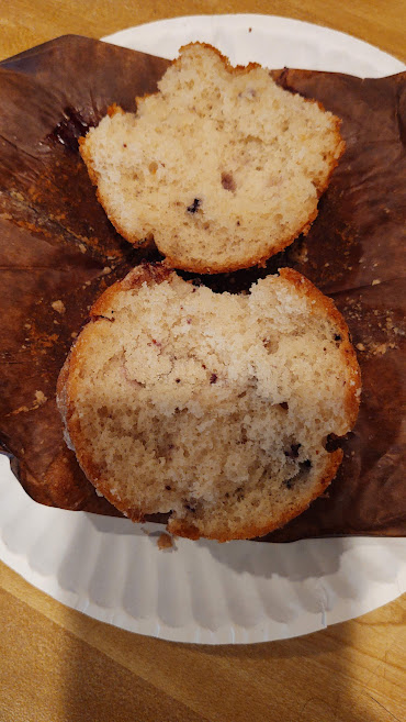 blueberry-muffin-no-blueberries-6375541fc27c1.jpg