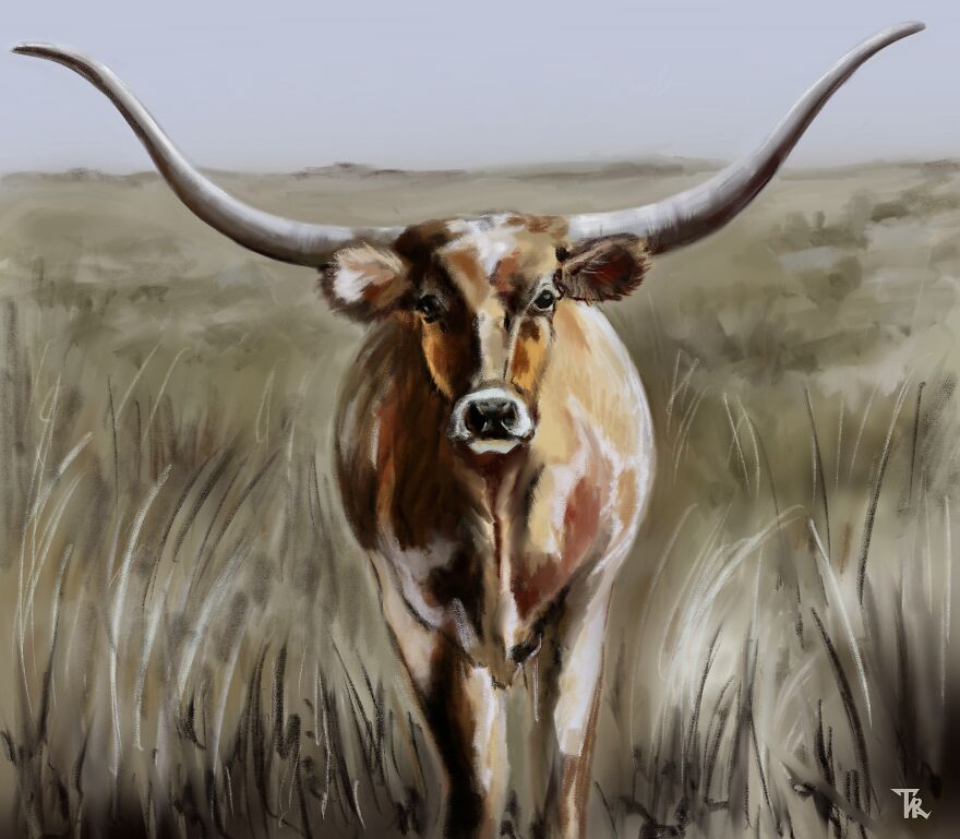 An illustration of a cattle with horns