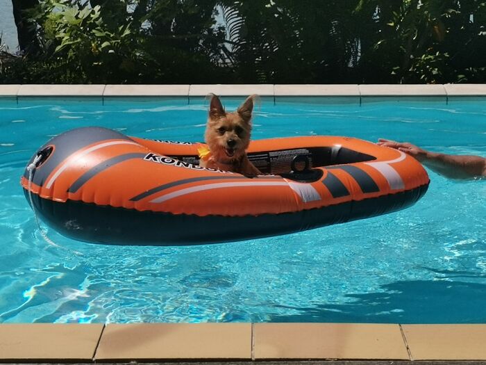 My Summer Spent With My Dog In Her Private Boat😊