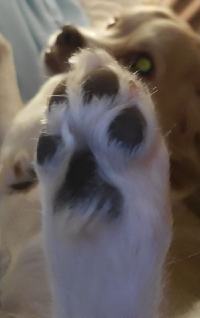 Slightly Blurry But You Can See Those Cute Little Toes