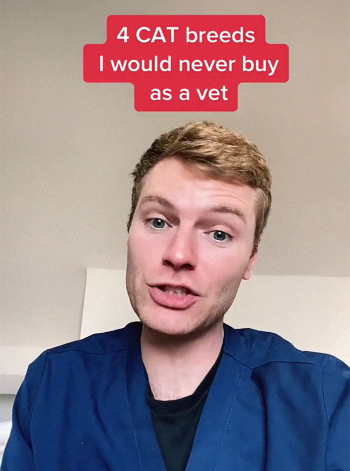 Veterinary Surgeon Reveals Cat And Dog Breeds He'd Never Buy And Explains Why