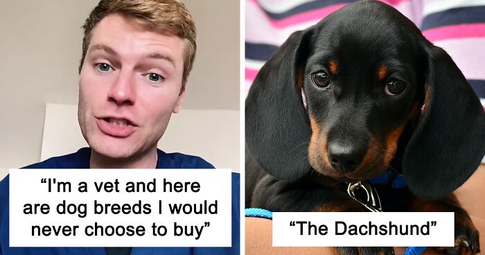 Veterinary Surgeon Reveals Cat And Dog Breeds He’d Never Buy And Explains Why