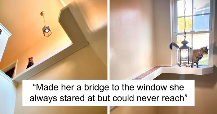 50 Genius Pet Inventions You Didn’t Know You Needed To Be The Coolest ...