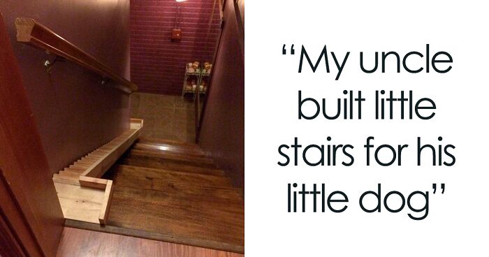 50 Genius Pet Inventions You Didn’t Know You Needed To Be The Coolest ...