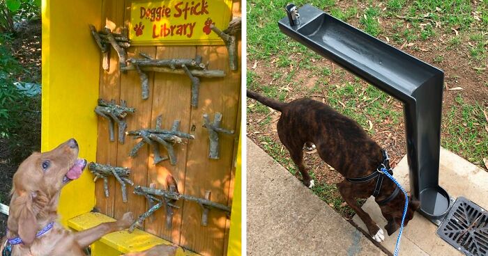 50 Genius Pet Inventions You Didn’t Know You Needed To Be The Coolest ...