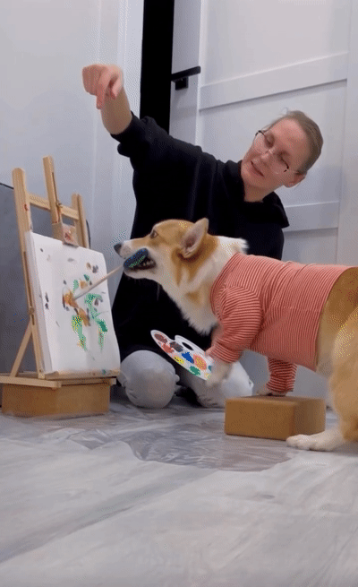 Meet Kobis - A Corgi That Knows Over 60 Tricks Including Riding A Skateboard, Painting, Playing Basketball And More
