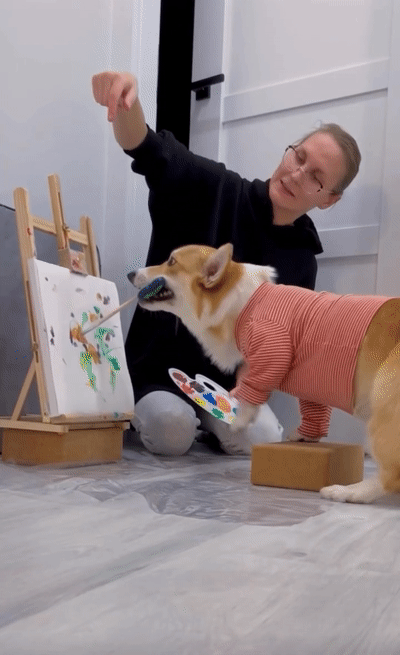 Meet Kobis - A Corgi That Knows Over 60 Tricks Including Riding A Skateboard, Painting, Playing Basketball And More Meet Kobis - A Corgi That Knows Over 60 Tricks Including Riding A Skateboard, Painting, Playing Basketball And More