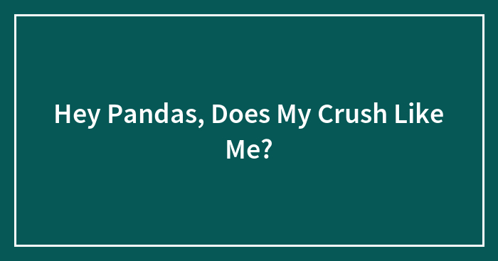 Hey Pandas, Does My Crush Like Me? (Closed)