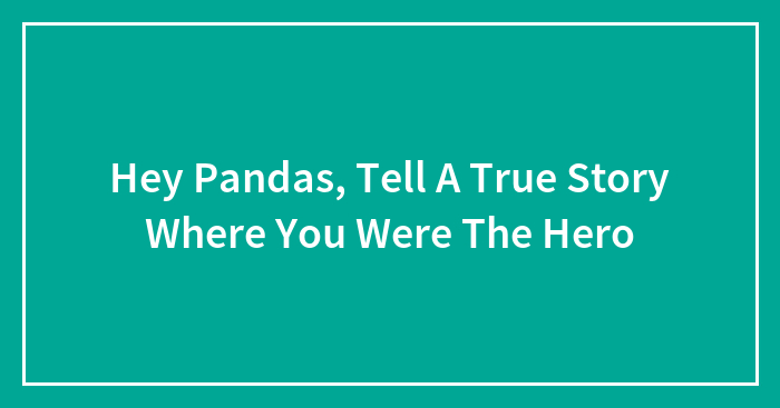 Hey Pandas, Tell A True Story Where You Were The Hero (Closed)