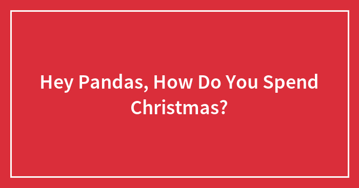 Hey Pandas, How Do You Spend Christmas? (Closed)