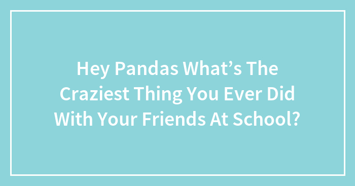 Hey Pandas What’s The Craziest Thing You Ever Did With Your Friends At School?