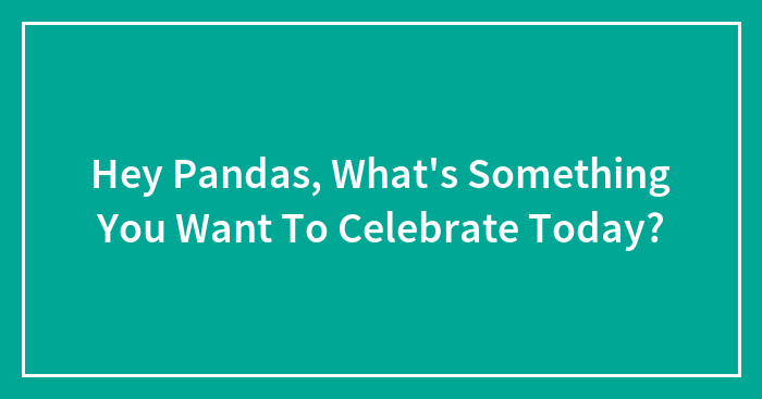 Hey Pandas, What’s Something You Want To Celebrate Today?