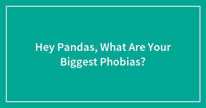 Hey Pandas, What Are Your Biggest Phobias? (Closed)