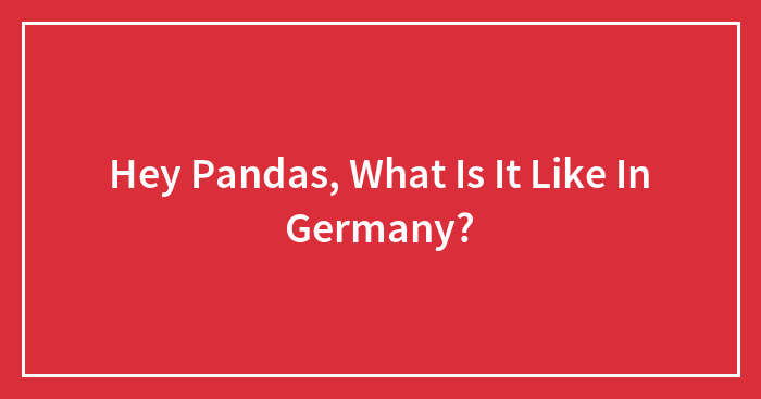 Hey Pandas, What Is It Like In Germany? (Closed)