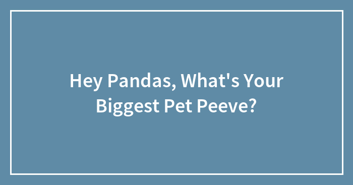 Hey Pandas, What’s Your Biggest Pet Peeve?