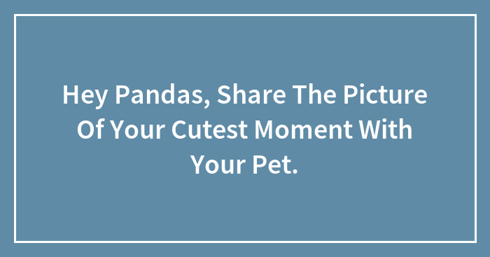 Hey Pandas, Share The Picture Of Your Cutest Moment With Your Pet.