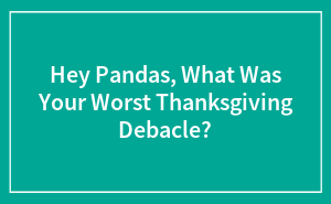 Hey Pandas, What Was Your Worst Thanksgiving D