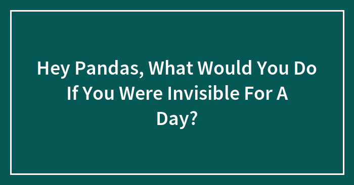 Hey Pandas, What Would You Do If You Were Invisible For A Day? (Closed)
