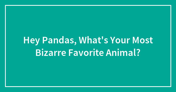 Hey Pandas, What’s Your Most Bizarre Favorite Animal? (Closed)