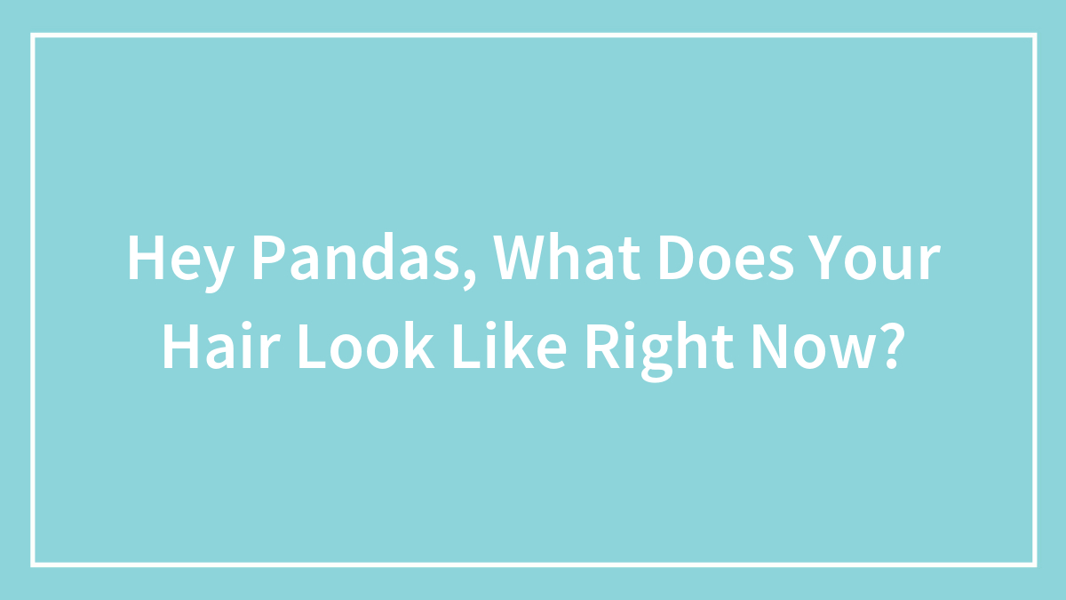 Hey Pandas, What Does Your Hair Look Like Right Now?