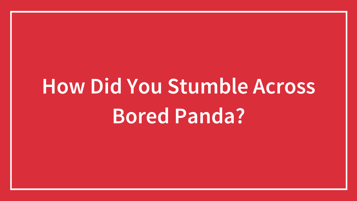 How Did You Stumble Across Bored Panda?