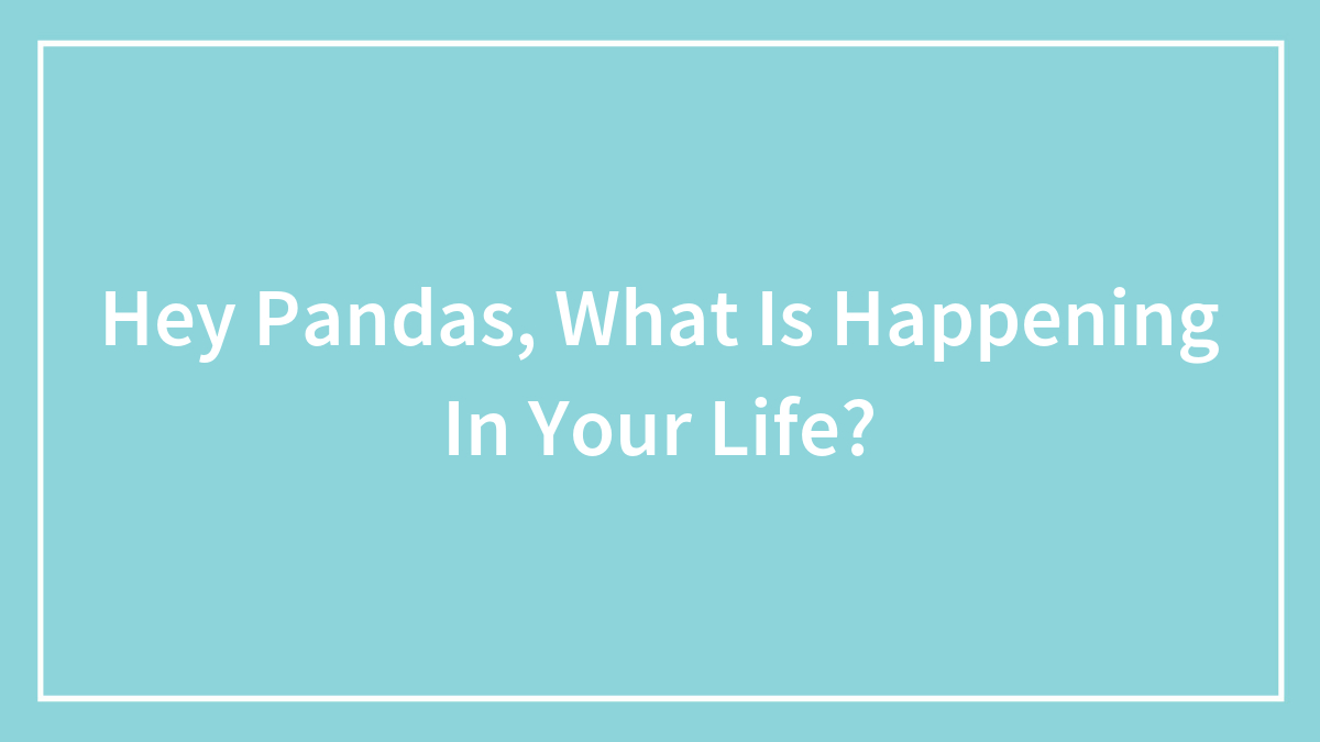 Hey Pandas, What Is Happening In Your Life?