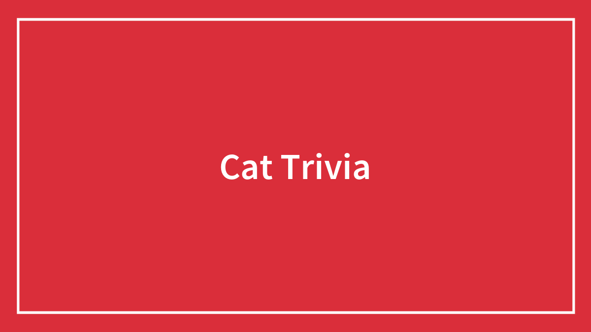 79 Cat Trivia Questions For A Good Evening’s Fun