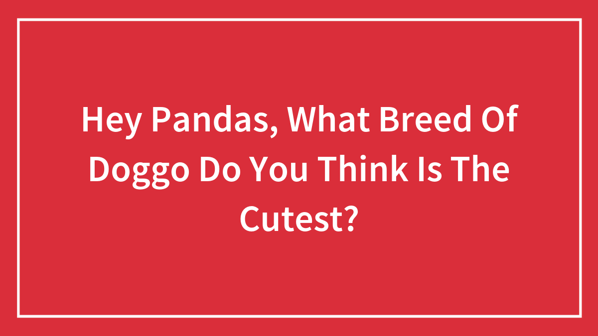 Hey Pandas, What Breed Of Doggo Do You Think Is The Cutest? (Closed)
